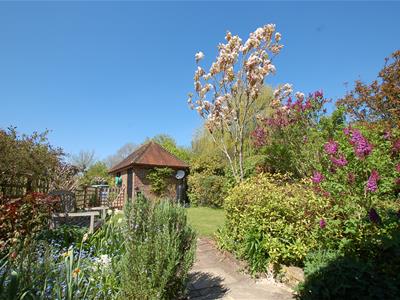 Picture 21